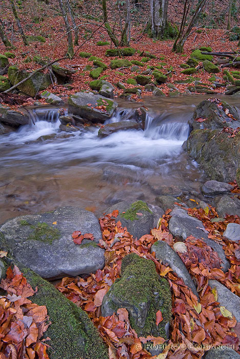 Valle dell''Acqua Cheta